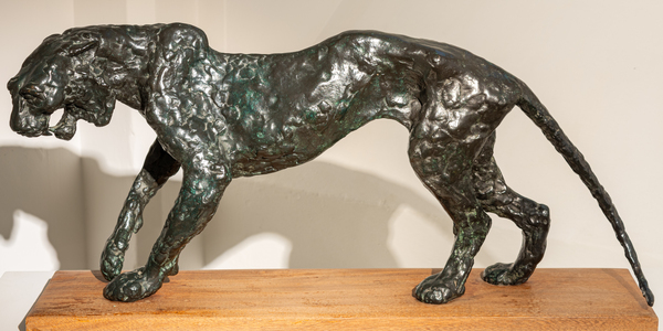 Tiger (Large Edition)