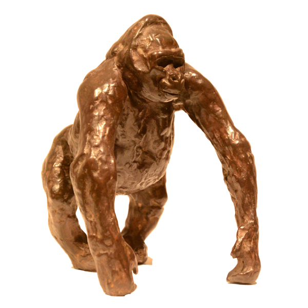 Gorilla on Four Limbs