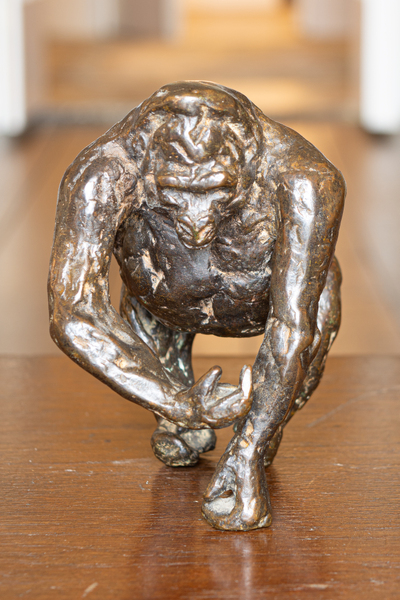 Gorilla on Three Limbs