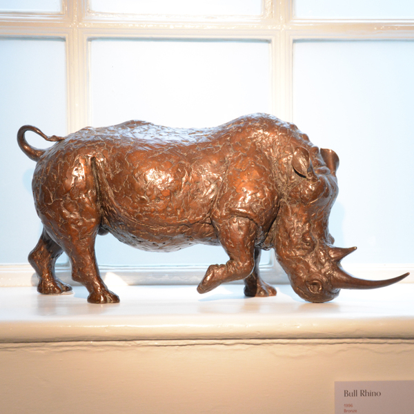 Bull Rhino